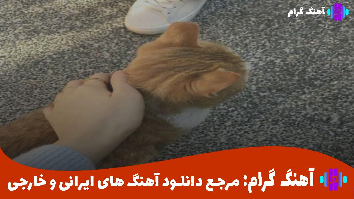 کاور آهنگ انگار نیمه ای از من نیستو از دورچی